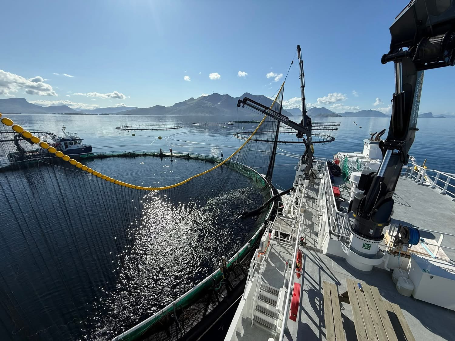 Utsikt fra bløggefartøy